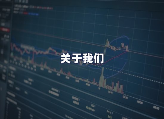 关于我们
